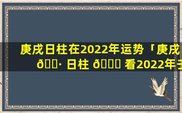 庚戌日柱在2022年运势「庚戌 🕷 日柱 🐅 看2022年壬寅年运势」